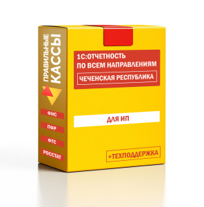 Отчетность_ИП_Чеченская республика